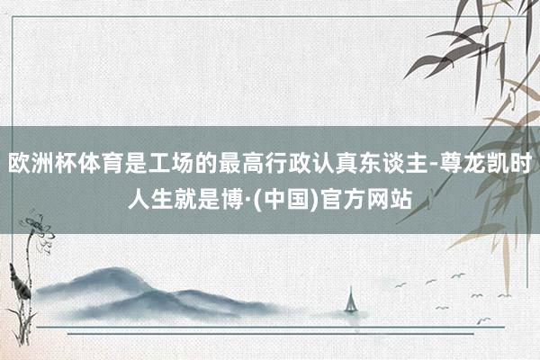 欧洲杯体育是工场的最高行政认真东谈主-尊龙凯时人生就是博·(中国)官方网站