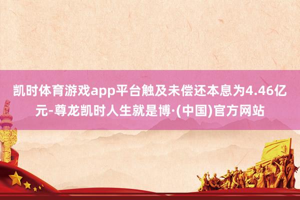 凯时体育游戏app平台触及未偿还本息为4.46亿元-尊龙凯时人生就是博·(中国)官方网站