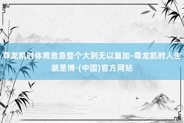 尊龙凯时体育危急整个大到无以复加-尊龙凯时人生就是博·(中国)官方网站