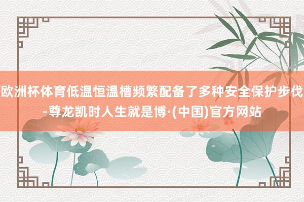 欧洲杯体育低温恒温槽频繁配备了多种安全保护步伐-尊龙凯时人生就是博·(中国)官方网站