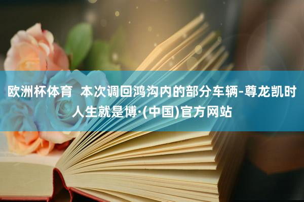 欧洲杯体育  本次调回鸿沟内的部分车辆-尊龙凯时人生就是博·(中国)官方网站
