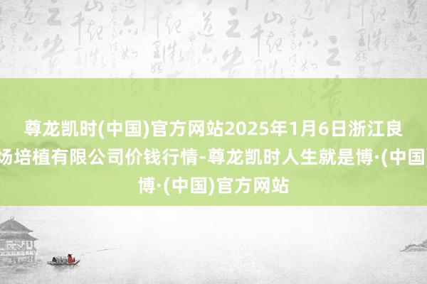 尊龙凯时(中国)官方网站2025年1月6日浙江良渚蔬菜商场培植有限公司价钱行情-尊龙凯时人生就是博·(中国)官方网站