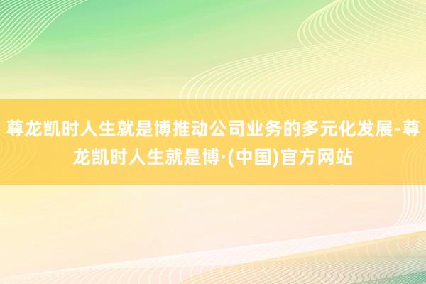 尊龙凯时人生就是博推动公司业务的多元化发展-尊龙凯时人生就是博·(中国)官方网站