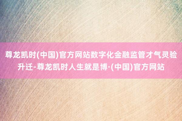 尊龙凯时(中国)官方网站数字化金融监管才气灵验升迁-尊龙凯时人生就是博·(中国)官方网站