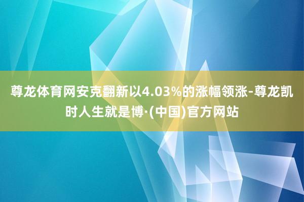尊龙体育网安克翻新以4.03%的涨幅领涨-尊龙凯时人生就是博·(中国)官方网站