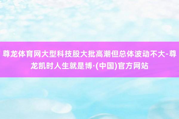尊龙体育网大型科技股大批高潮但总体波动不大-尊龙凯时人生就是博·(中国)官方网站
