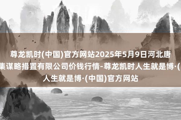 尊龙凯时(中国)官方网站2025年5月9日河北唐山市荷花坑市集谋略措置有限公司价钱行情-尊龙凯时人生就是博·(中国)官方网站