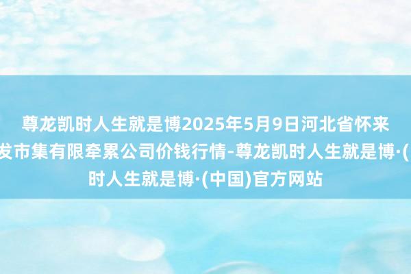 尊龙凯时人生就是博2025年5月9日河北省怀来县京西果菜批发市集有限牵累公司价钱行情-尊龙凯时人生就是博·(中国)官方网站
