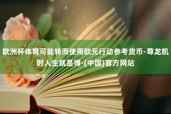 欧洲杯体育可能转而使用欧元行动参考货币-尊龙凯时人生就是博·(中国)官方网站