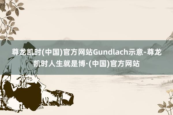 尊龙凯时(中国)官方网站　　Gundlach示意-尊龙凯时人生就是博·(中国)官方网站