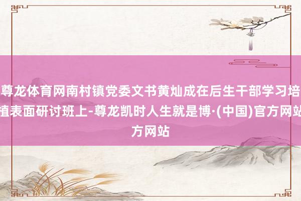 尊龙体育网南村镇党委文书黄灿成在后生干部学习培植表面研讨班上-尊龙凯时人生就是博·(中国)官方网站