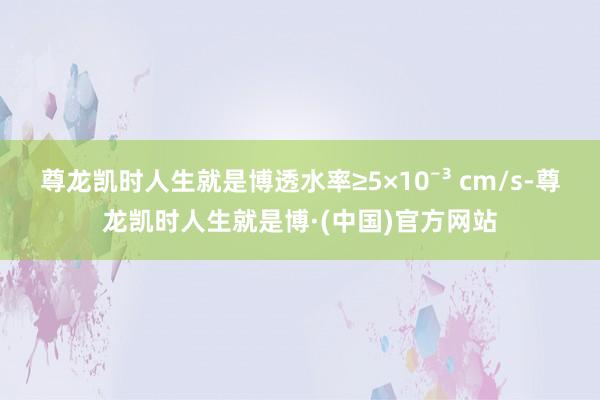 尊龙凯时人生就是博透水率≥5×10⁻³ cm/s-尊龙凯时人生就是博·(中国)官方网站