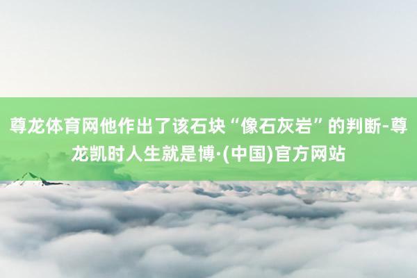 尊龙体育网他作出了该石块“像石灰岩”的判断-尊龙凯时人生就是博·(中国)官方网站
