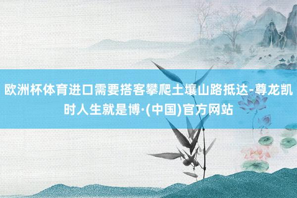 欧洲杯体育进口需要搭客攀爬土壤山路抵达-尊龙凯时人生就是博·(中国)官方网站