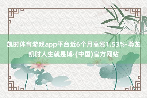 凯时体育游戏app平台近6个月高涨1.53%-尊龙凯时人生就是博·(中国)官方网站