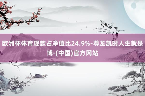 欧洲杯体育现款占净值比24.9%-尊龙凯时人生就是博·(中国)官方网站