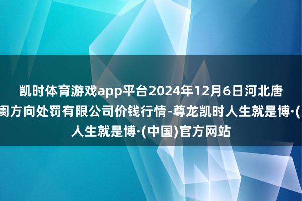 凯时体育游戏app平台2024年12月6日河北唐山市荷花坑阛阓方向处罚有限公司价钱行情-尊龙凯时人生就是博·(中国)官方网站