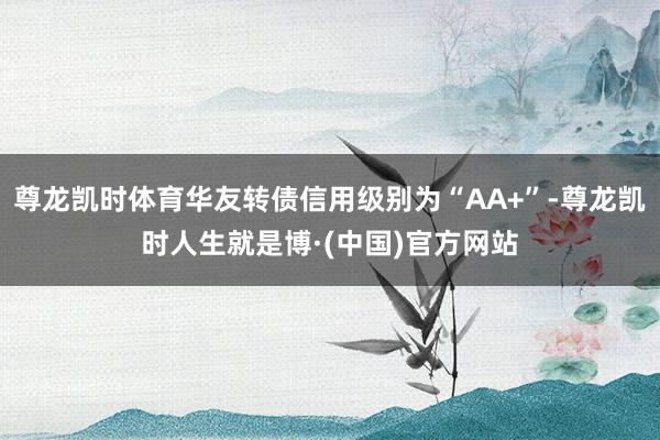尊龙凯时体育华友转债信用级别为“AA+”-尊龙凯时人生就是博·(中国)官方网站
