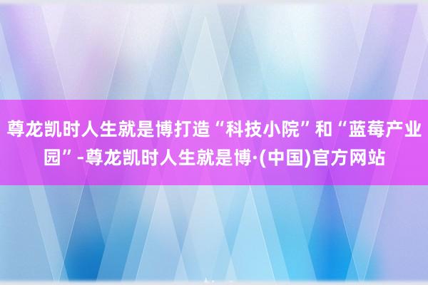 尊龙凯时人生就是博打造“科技小院”和“蓝莓产业园”-尊龙凯时人生就是博·(中国)官方网站