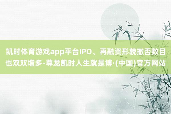 凯时体育游戏app平台IPO、再融资形貌撤否数目也双双增多-尊龙凯时人生就是博·(中国)官方网站