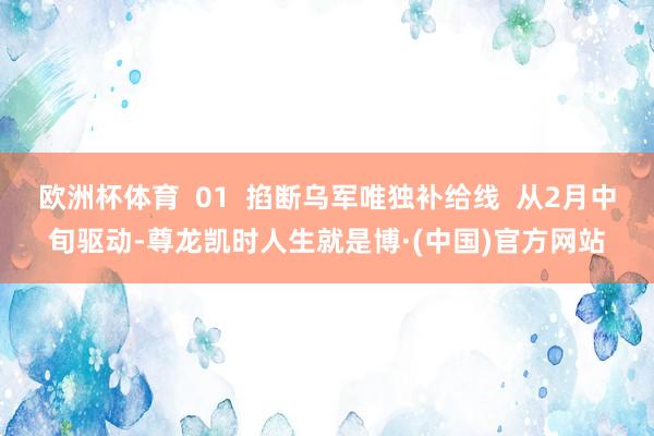 欧洲杯体育  01  掐断乌军唯独补给线  从2月中旬驱动-尊龙凯时人生就是博·(中国)官方网站